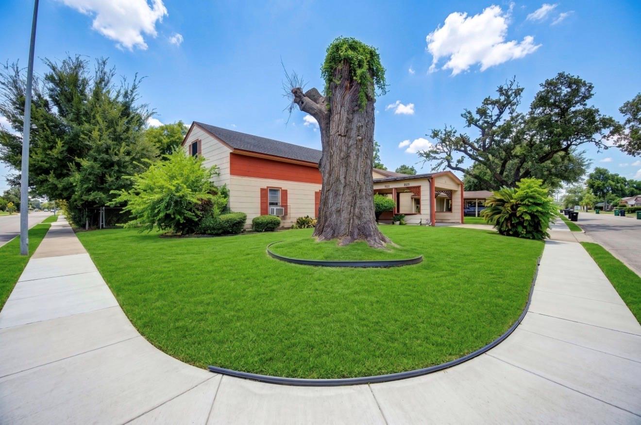 3838 Florinda Street