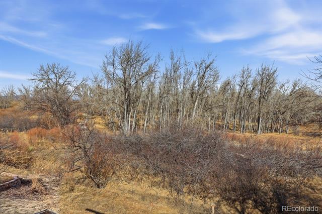 2311 Cliffrose Lane