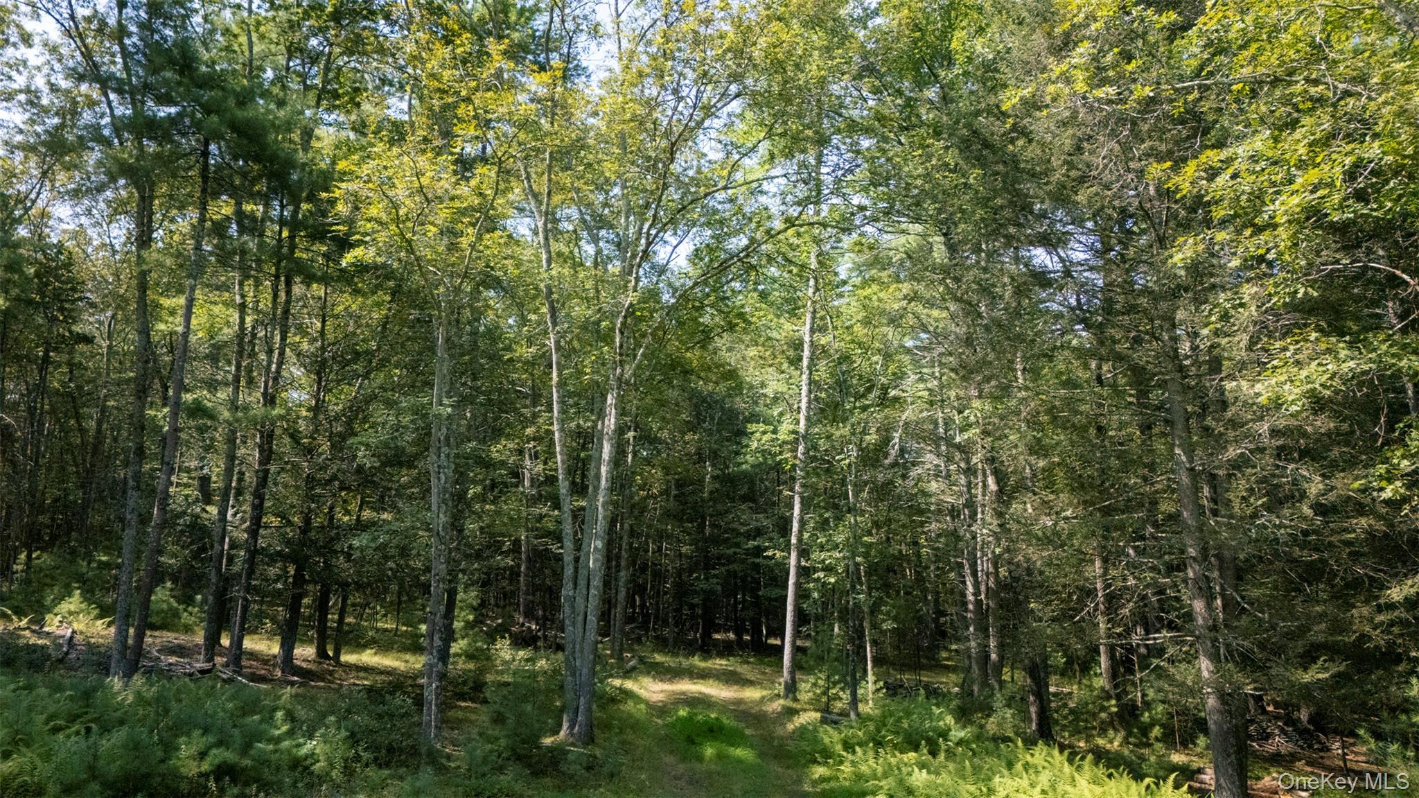 327 Phillips Road