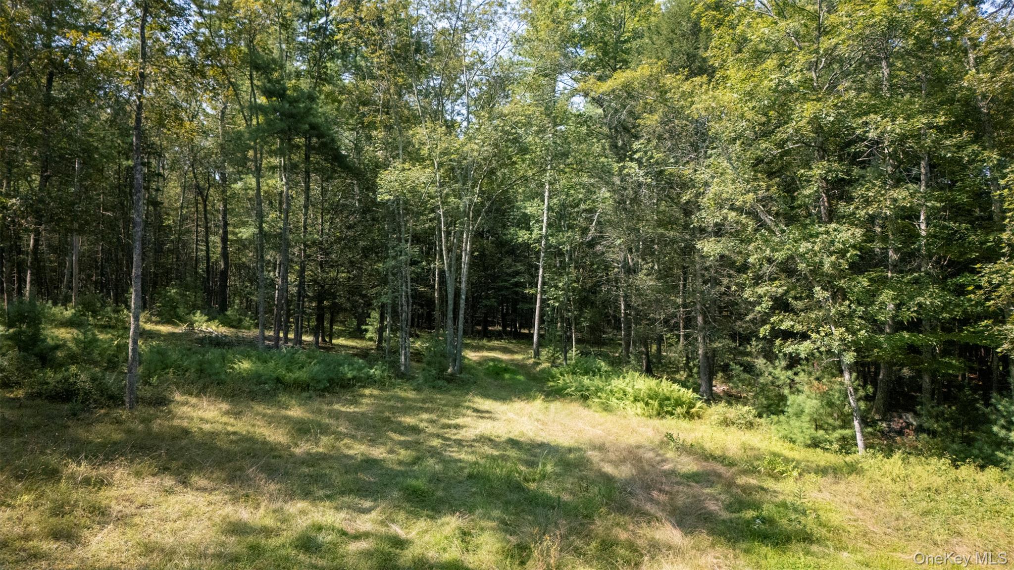 327 Phillips Road