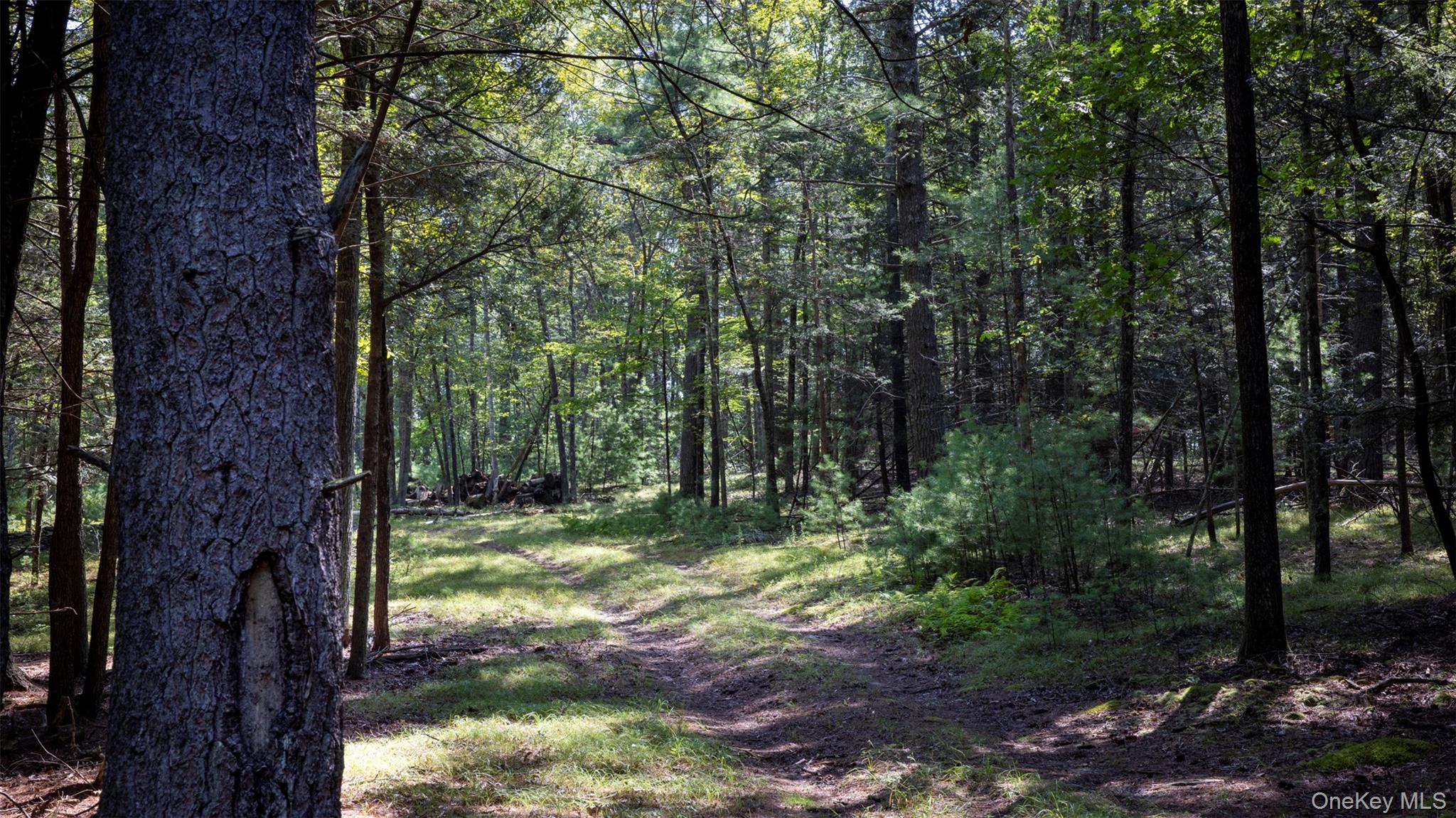 327 Phillips Road