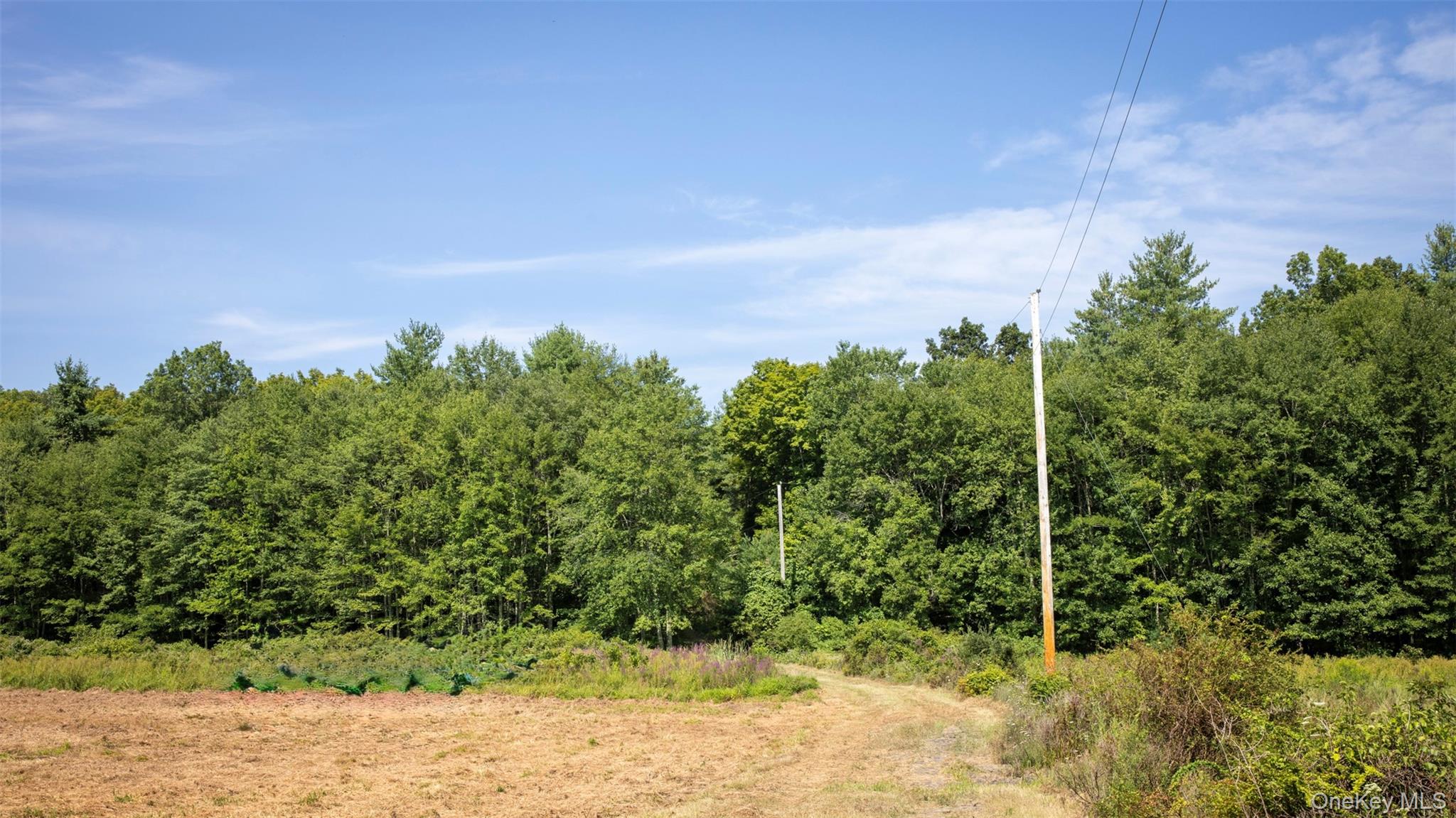 327 Phillips Road