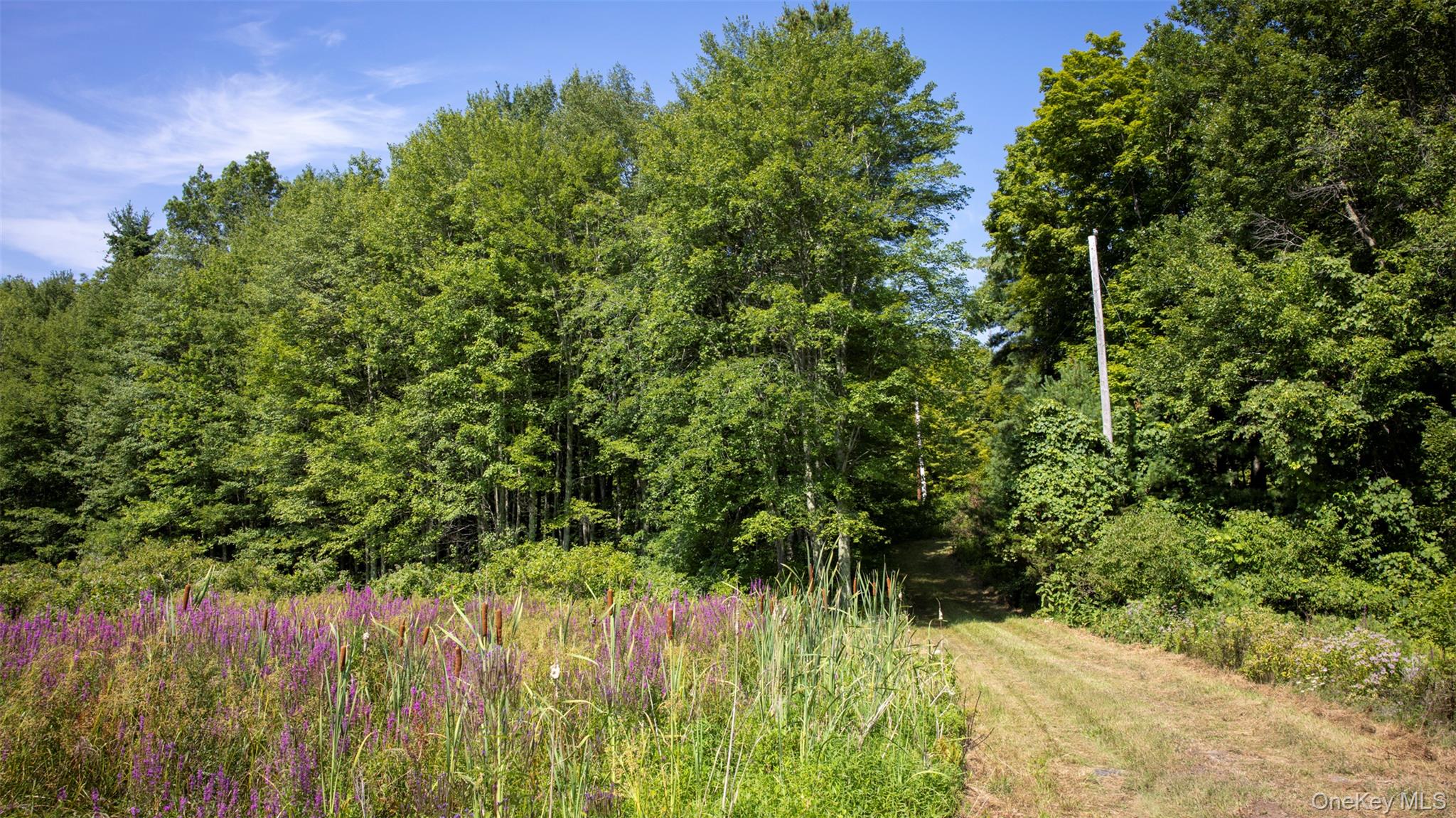 327 Phillips Road