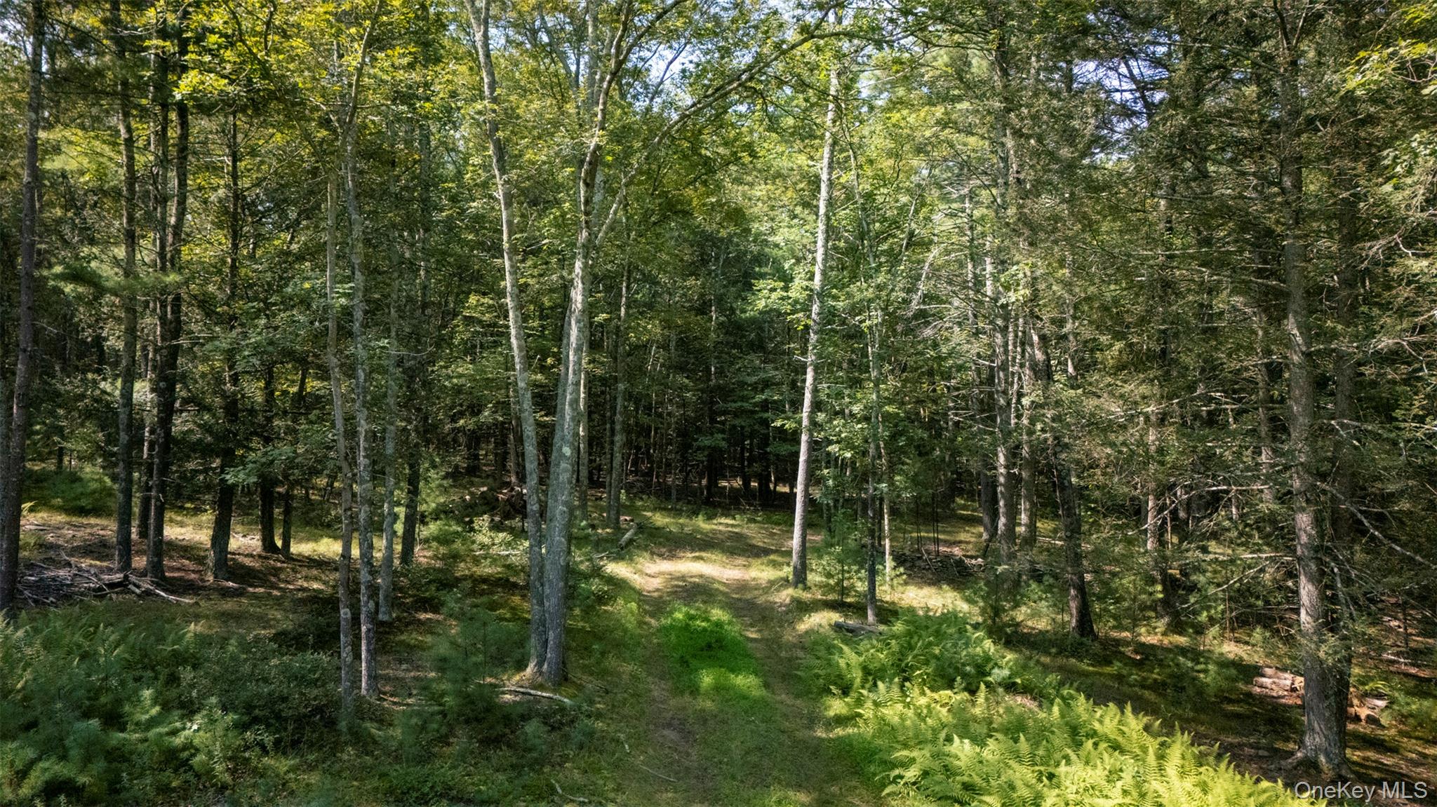 327 Phillips Road
