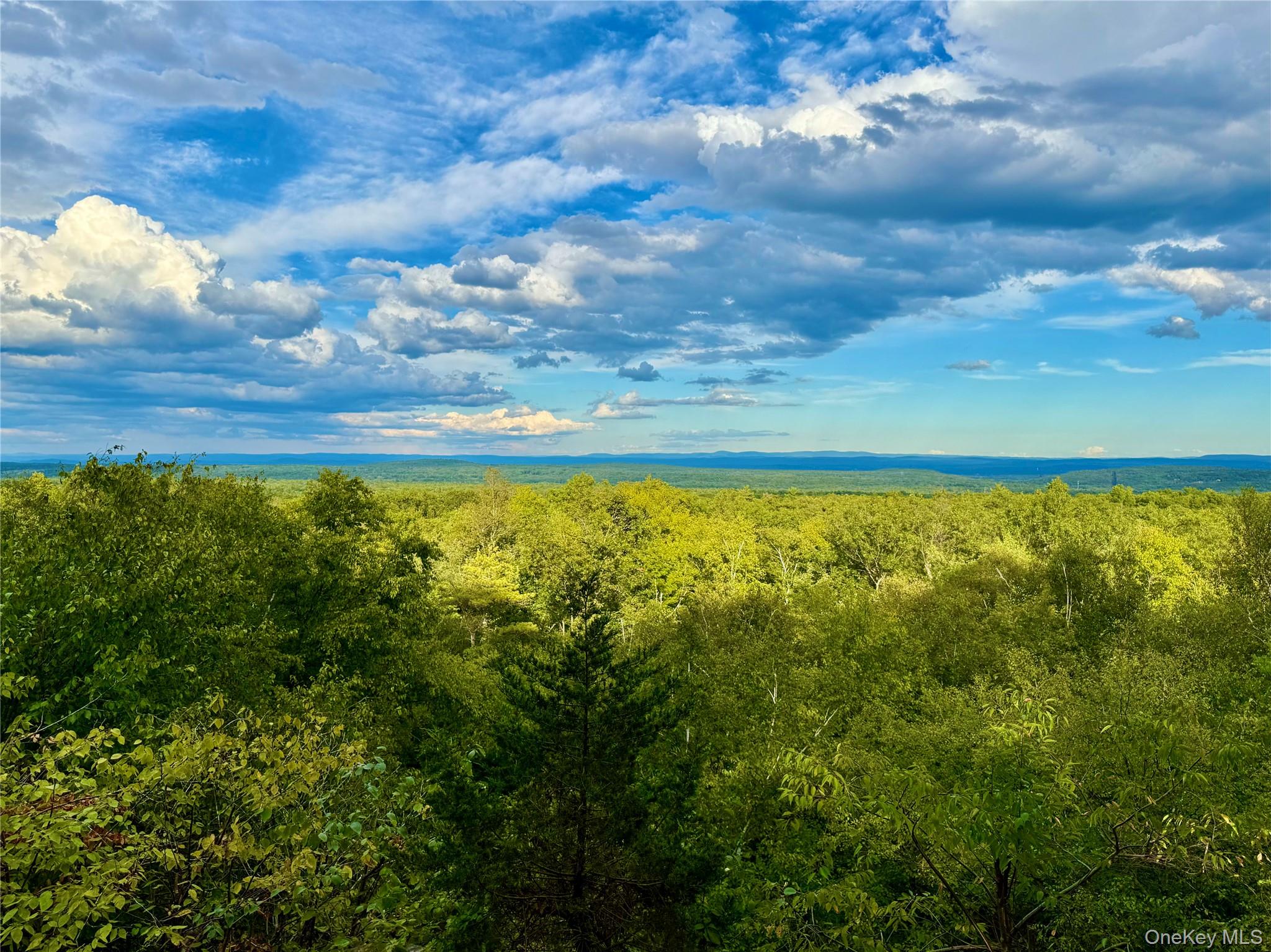 764 W Saug Woodstock Road