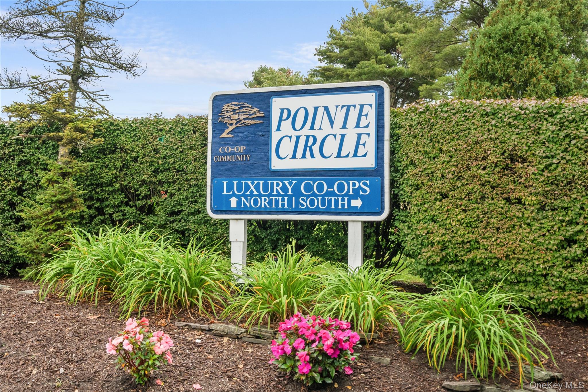 10 Point Circle S Unit: 10