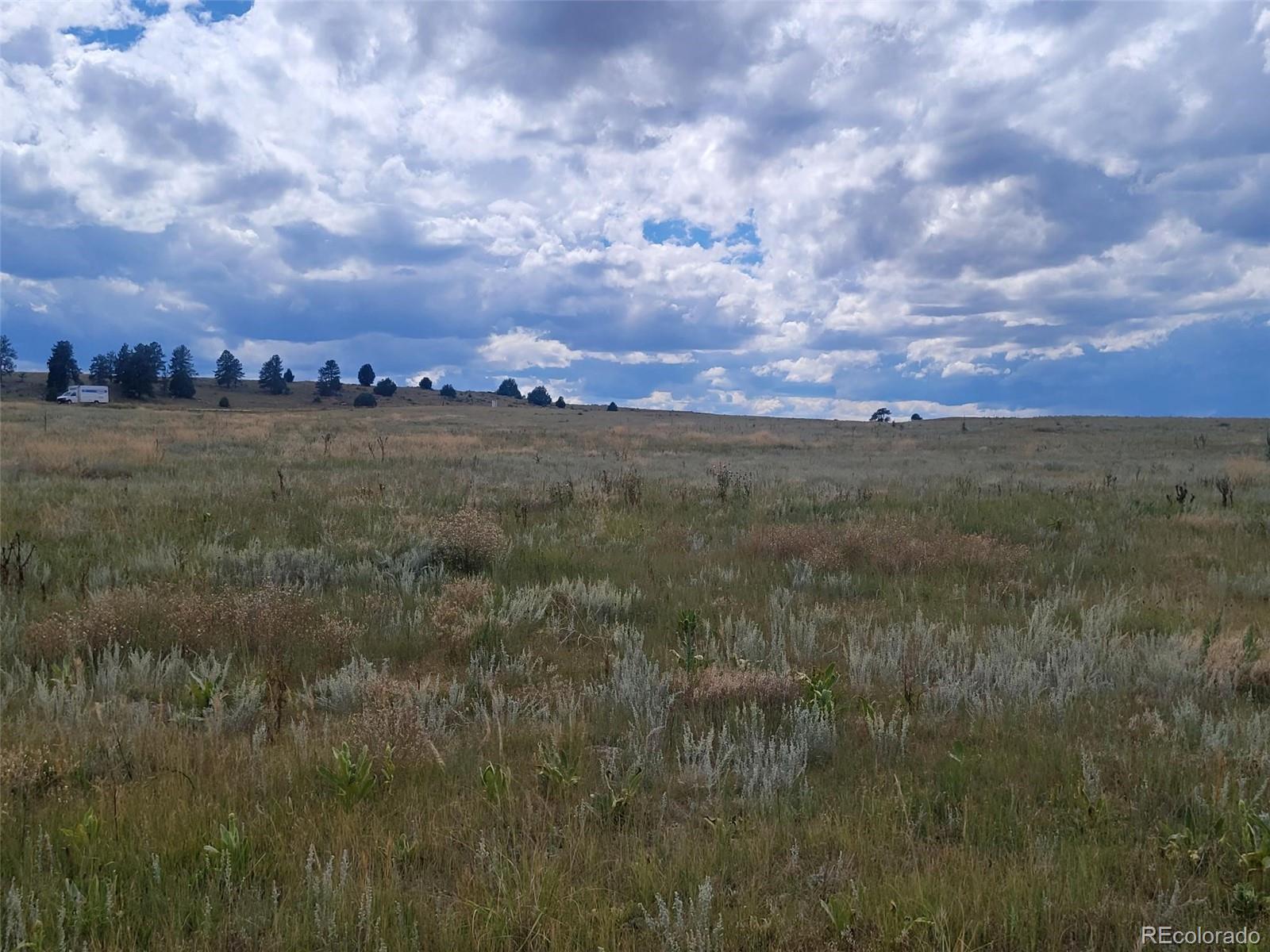 3619 County Road 106