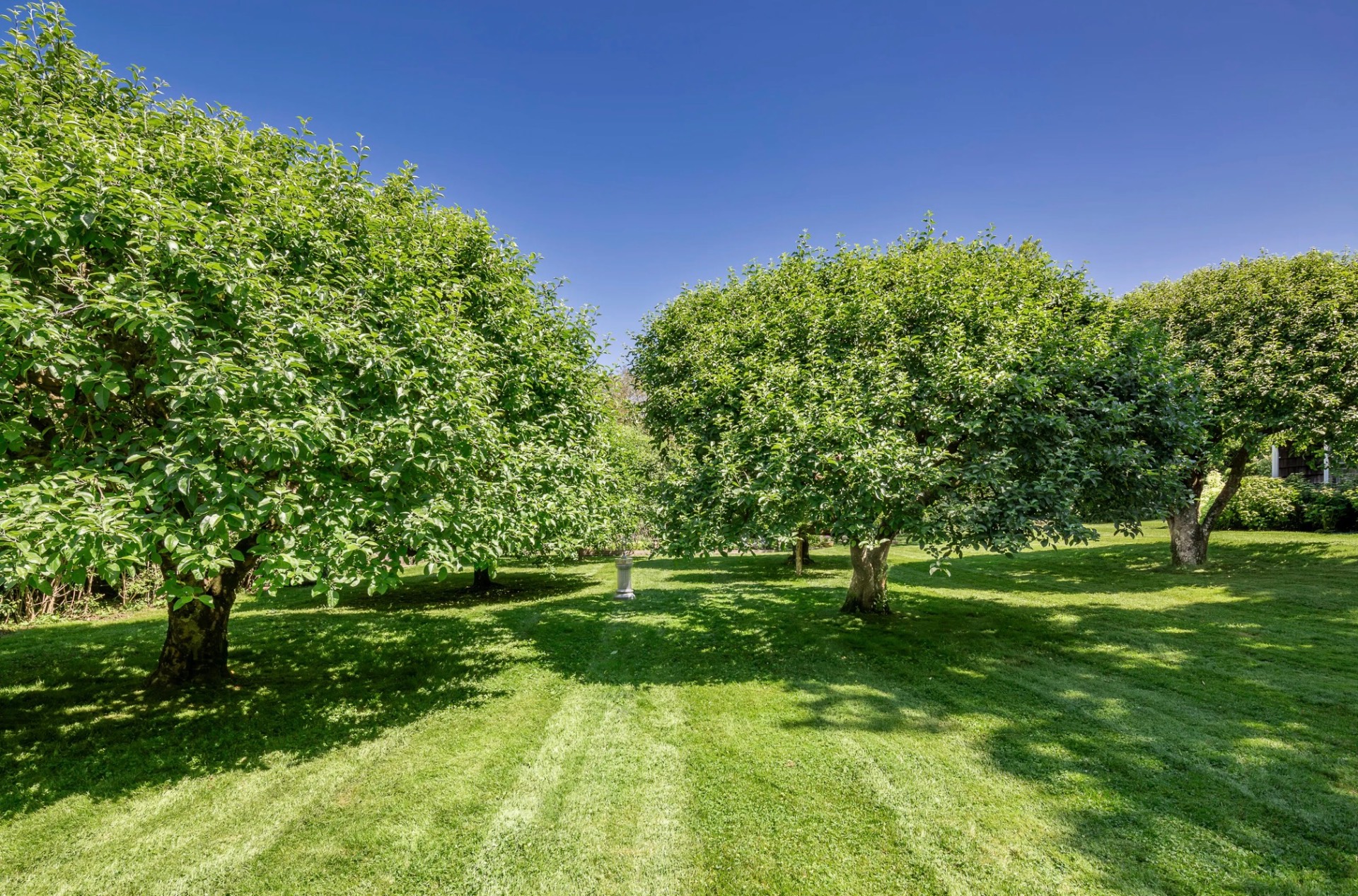 561 SAGAPONACK MAIN ST