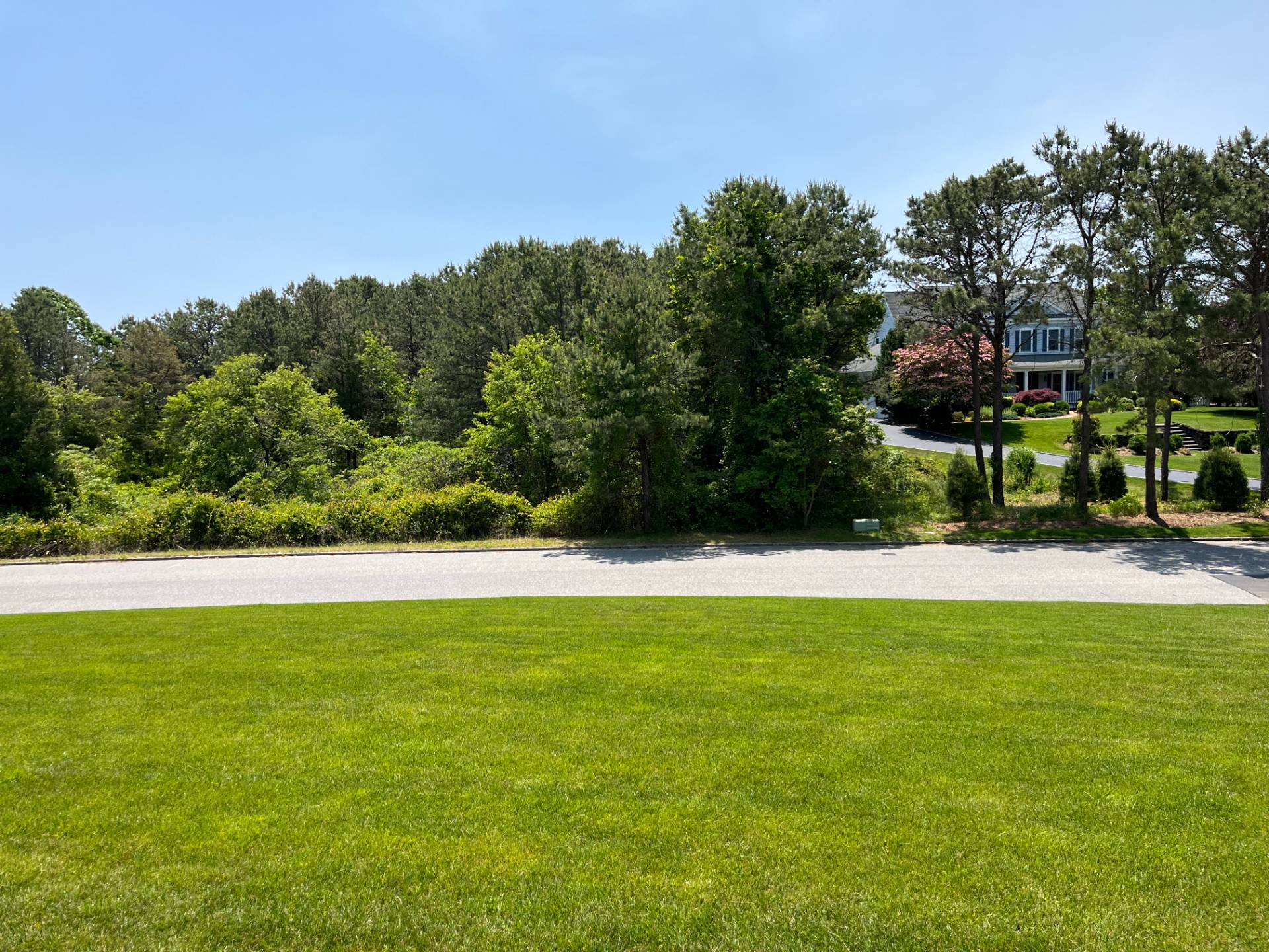 67 BLACKWATCH CT