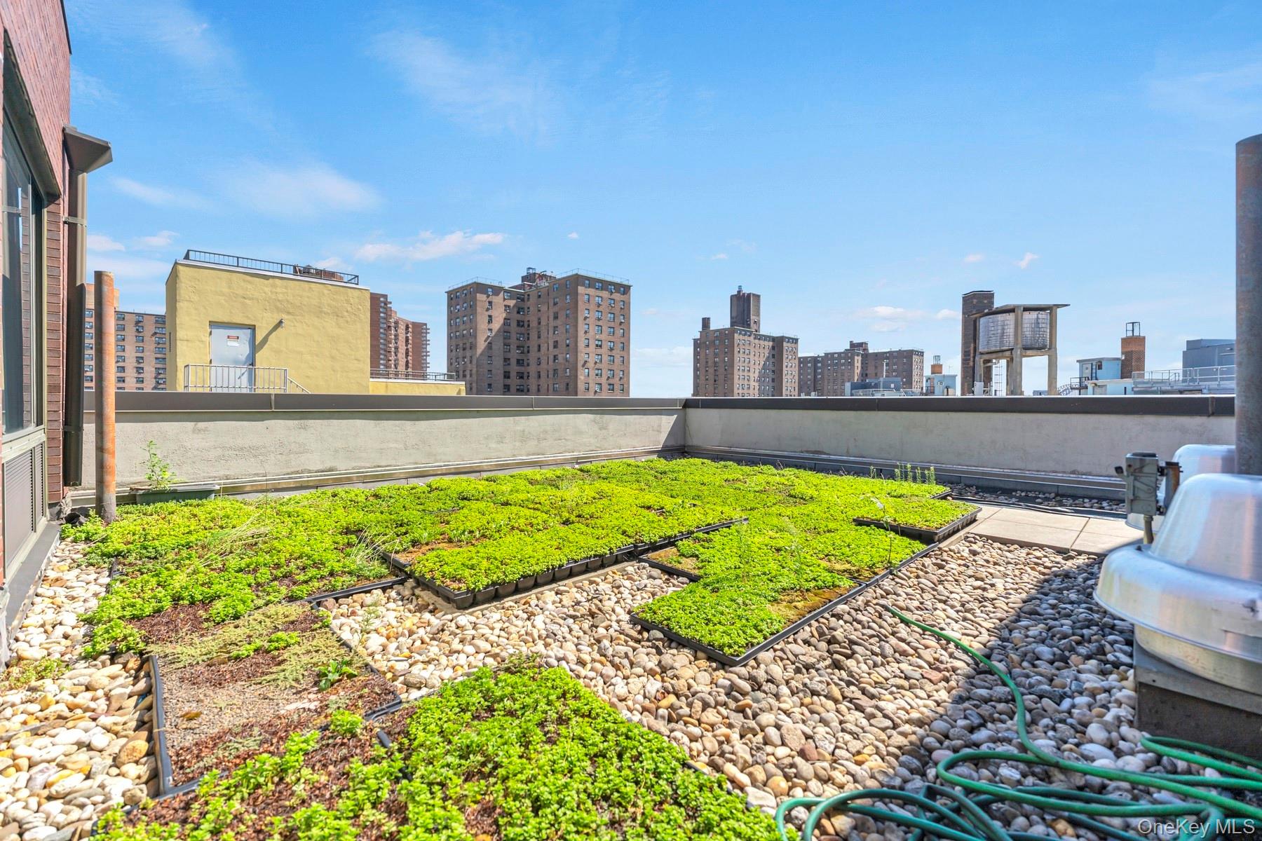 353 E 104 Street Unit: 9C