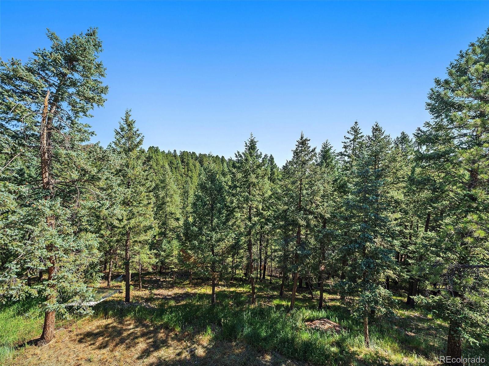 30287 Isenberg Lane