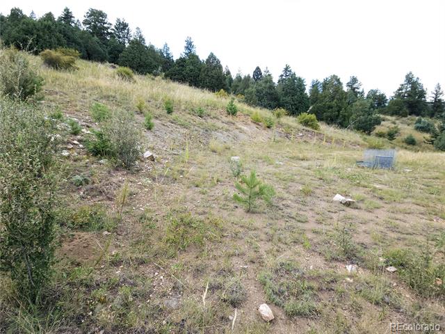 14405 Reserve Road