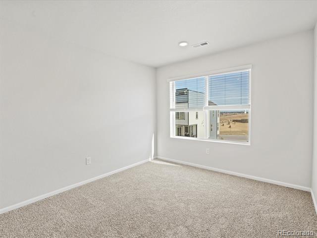 14412 Pansy Loop