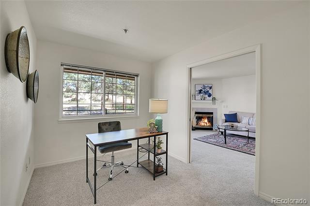 31819 Rocky Village Drive Unit: 207