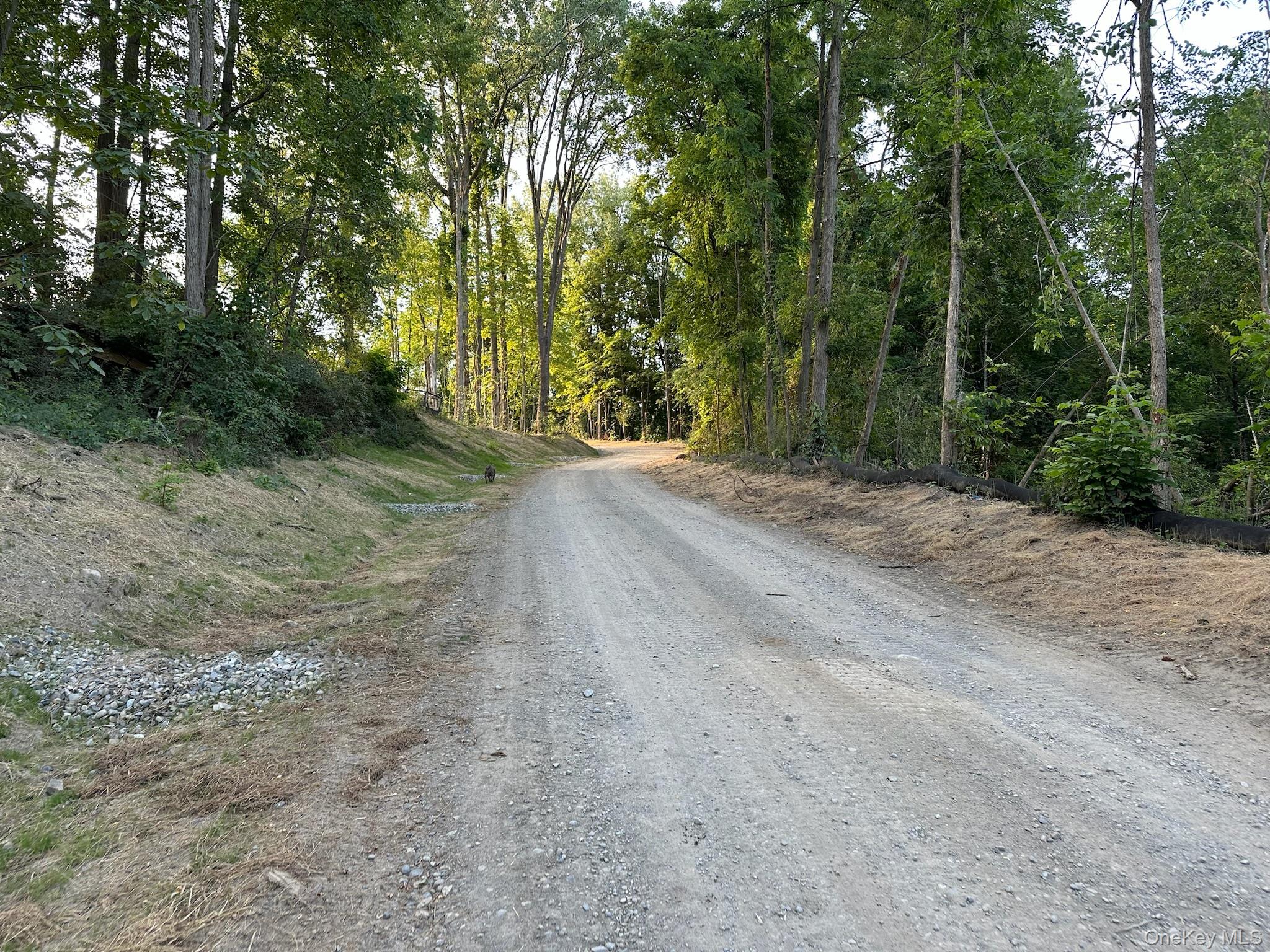 49 Veterans Road