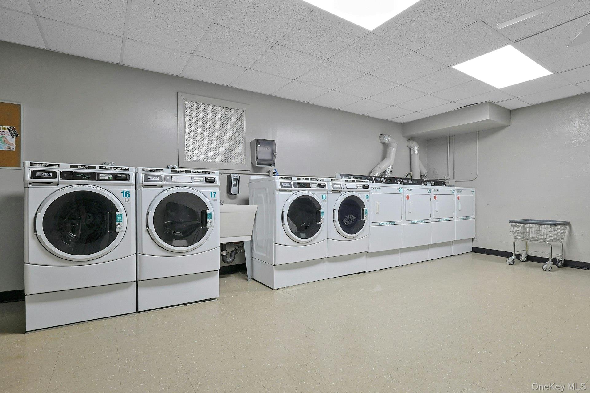 1273 North Avenue Unit: 1F-#8