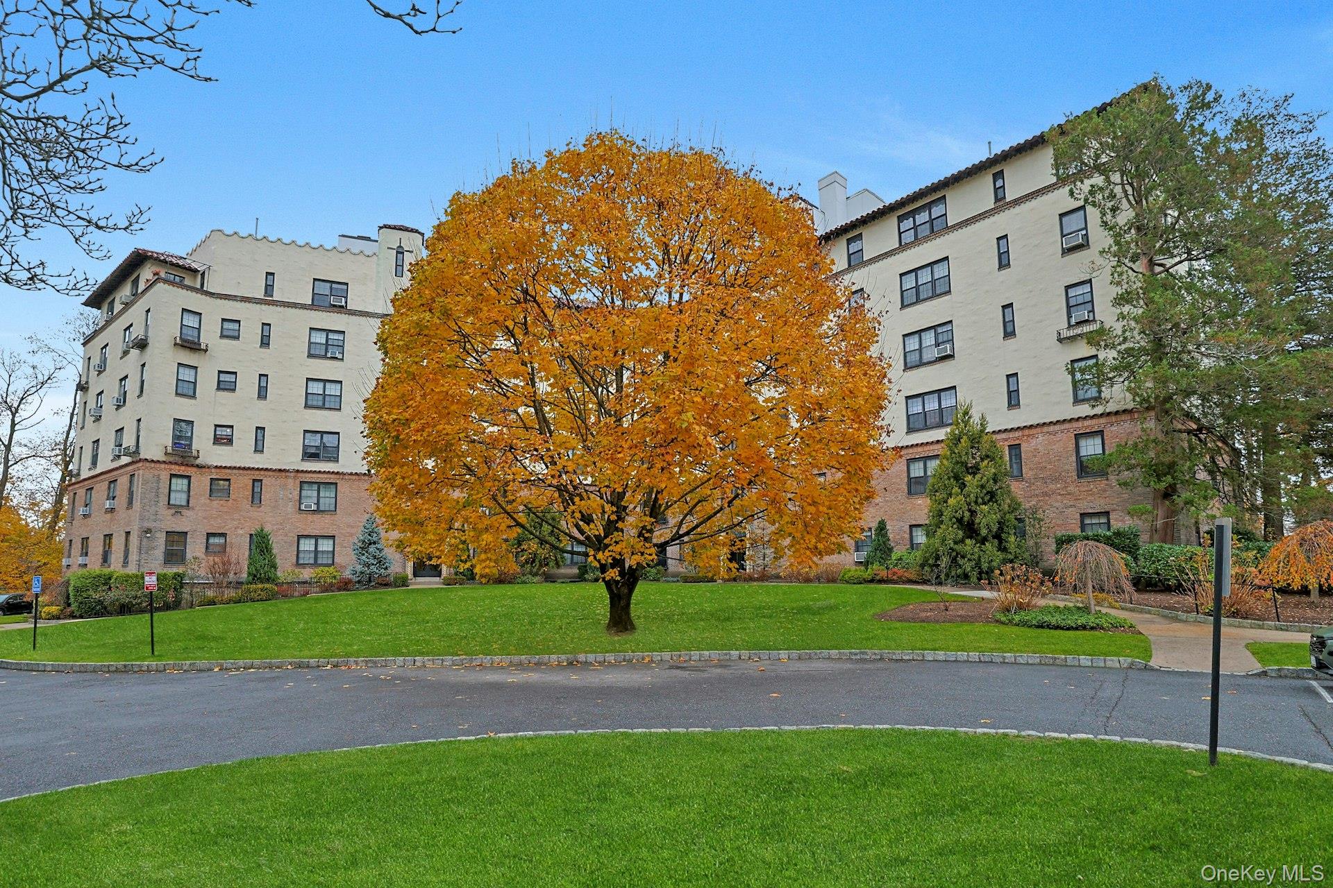 1273 North Avenue Unit: 1F-#8