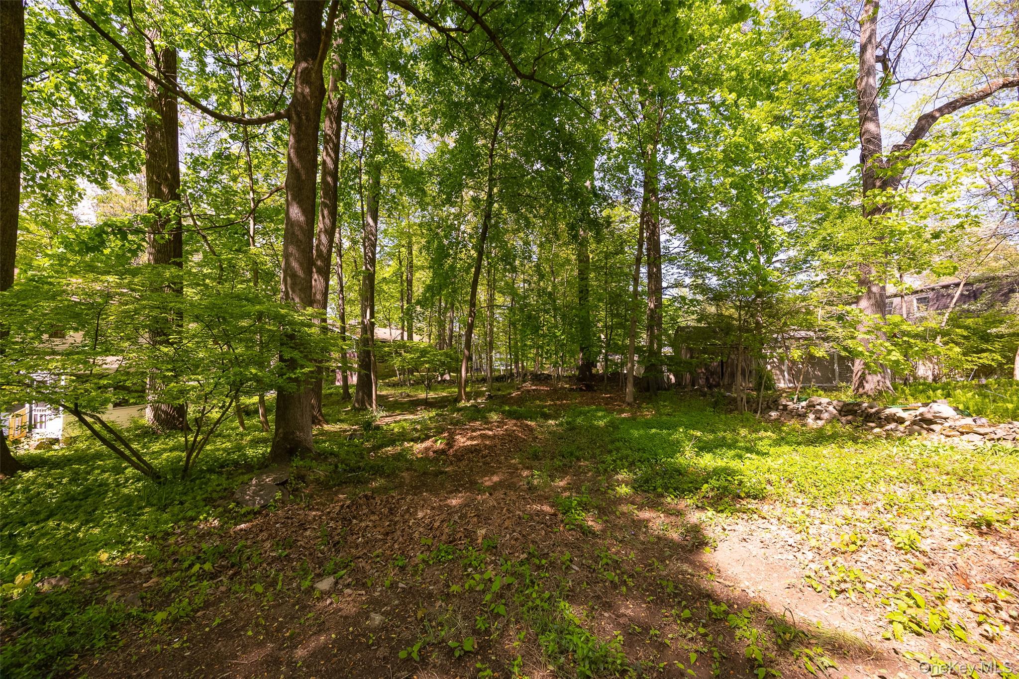 7 Carnelli Court