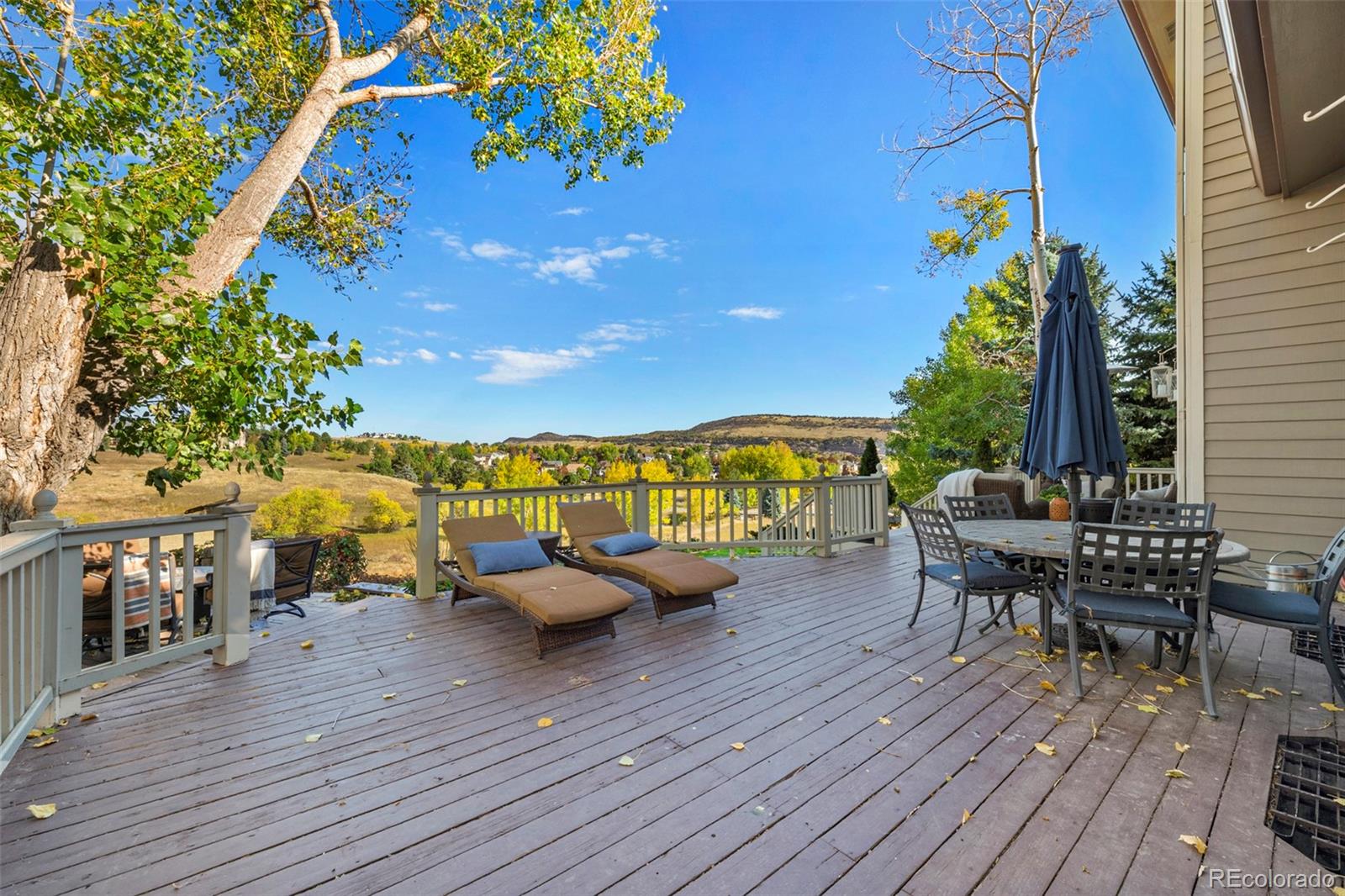 15 Amaranth Drive