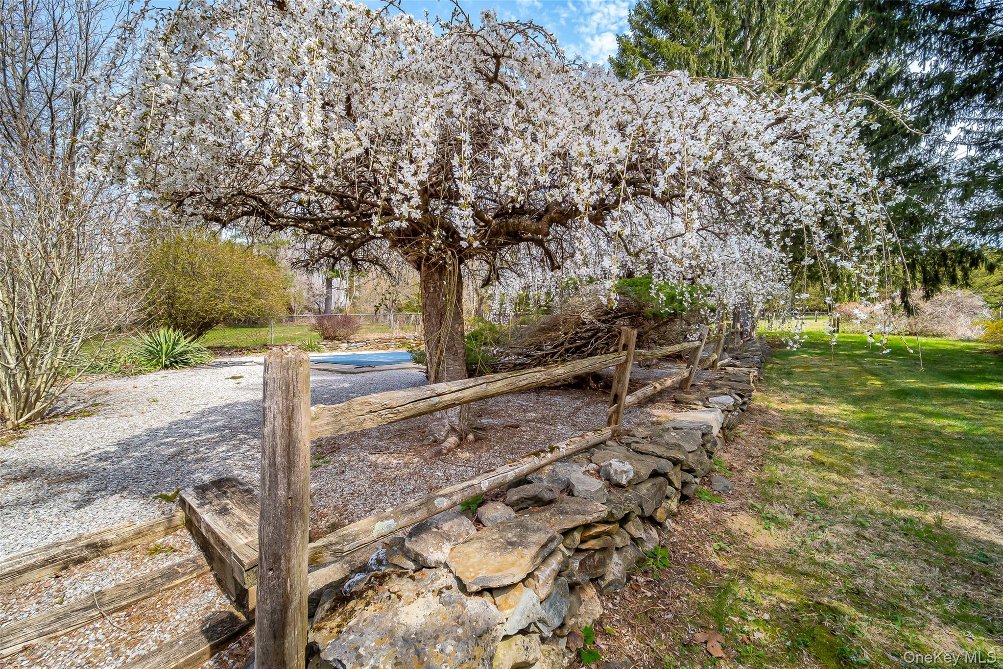 289 Shenandoah Road