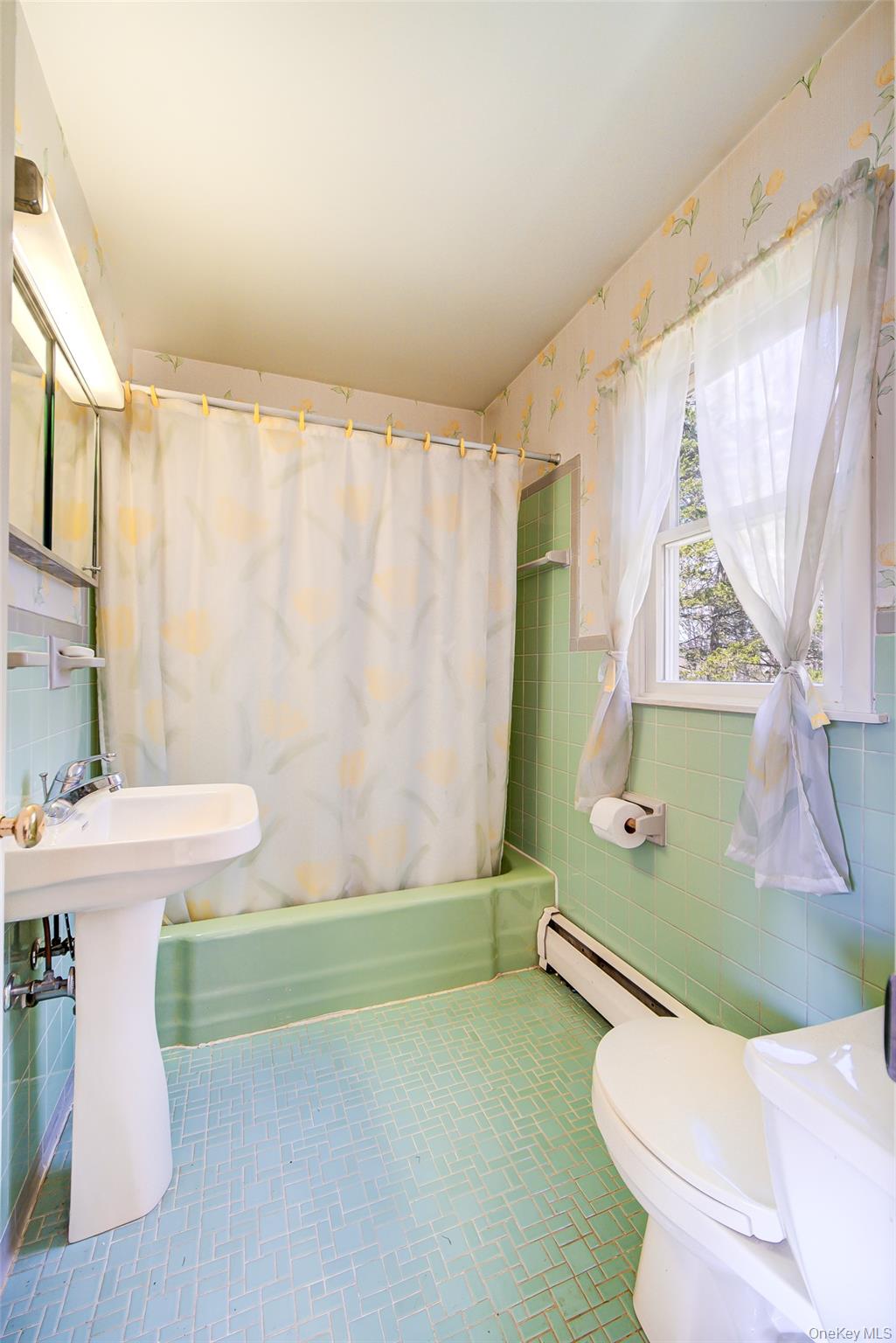 289 Shenandoah Road