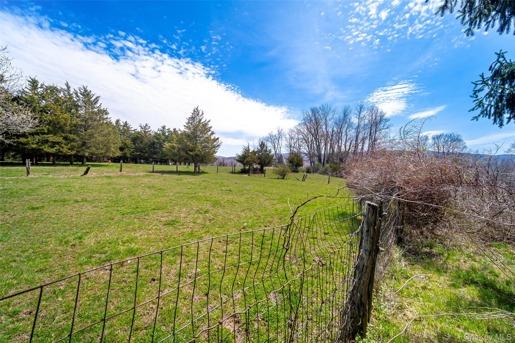 289 Shenandoah Road
