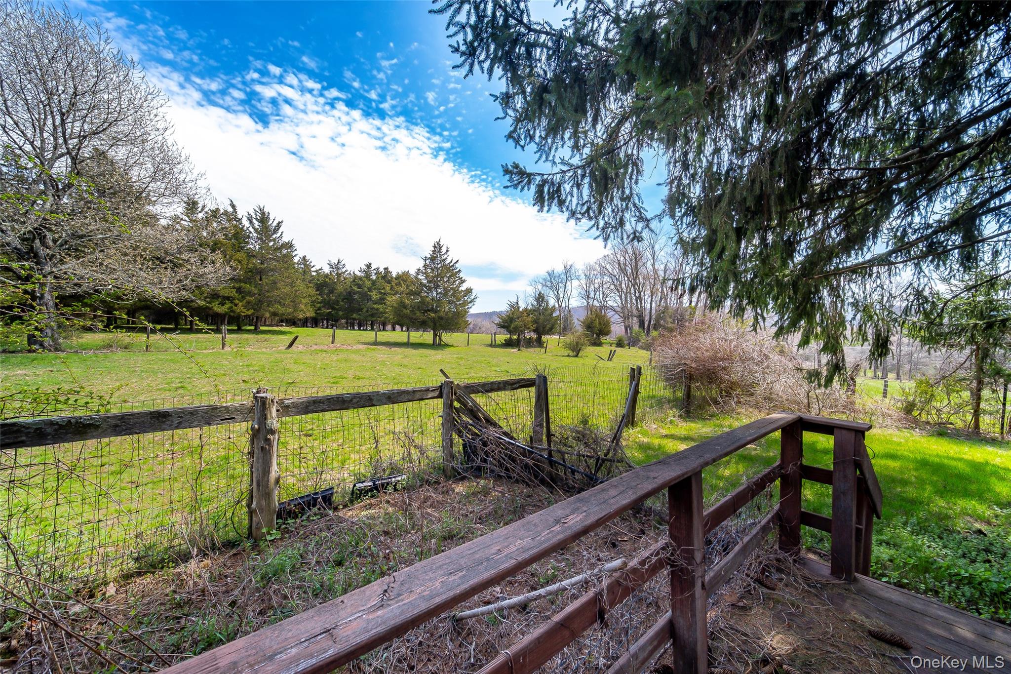 289 Shenandoah Road