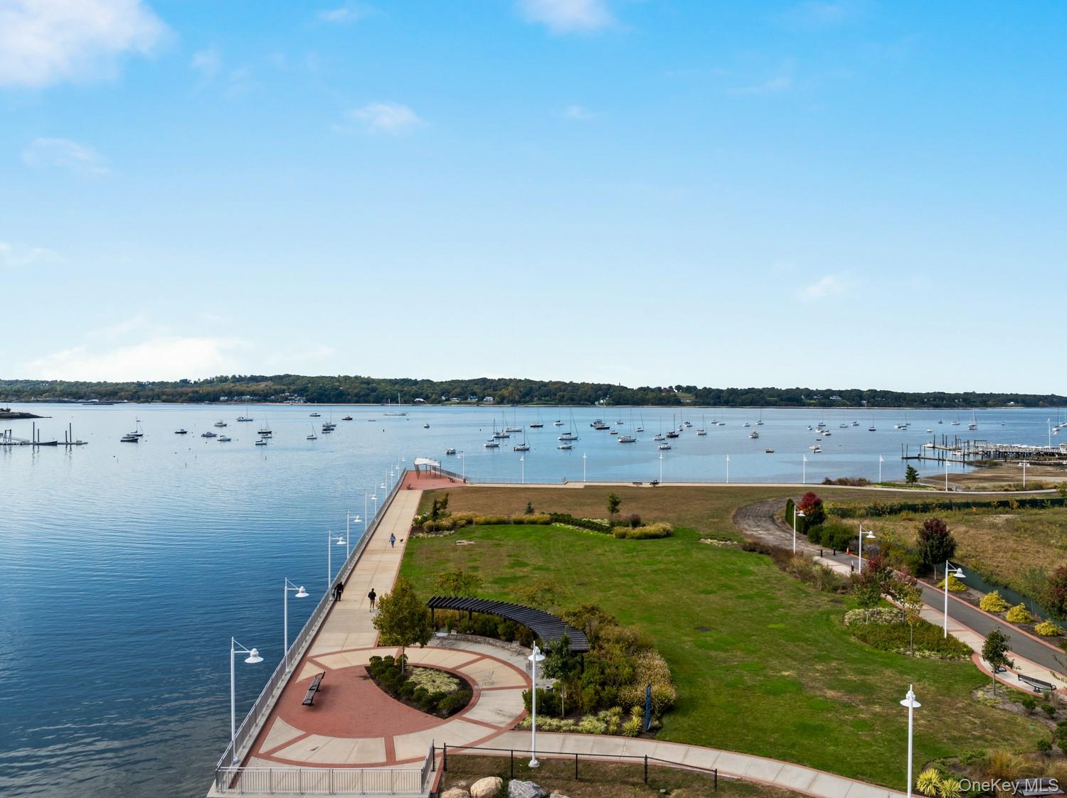 100 Garvies Point Road Unit: 1009