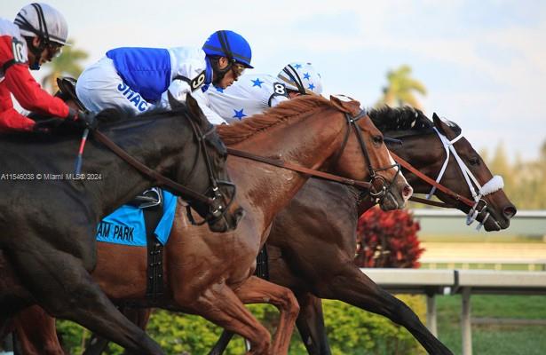 3001 NE 185th St # 317