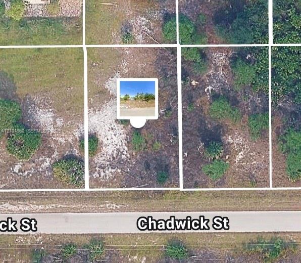 ?1043 Chadwick st