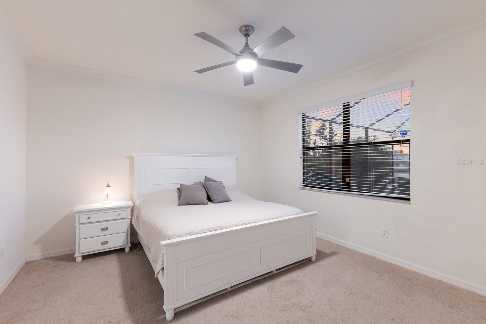 3512 SCRUB CREEK RUN