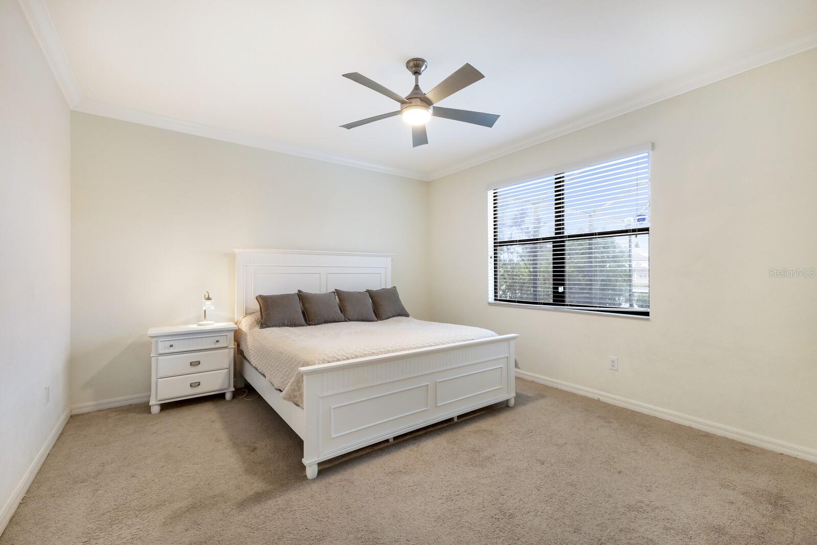 3512 SCRUB CREEK RUN