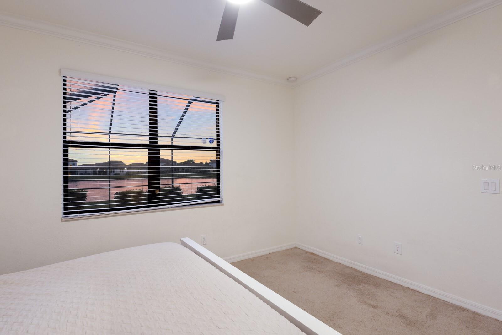 3512 SCRUB CREEK RUN