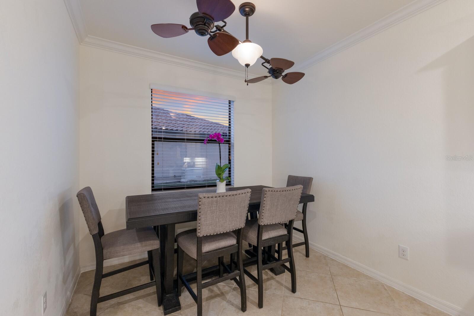 3512 SCRUB CREEK RUN