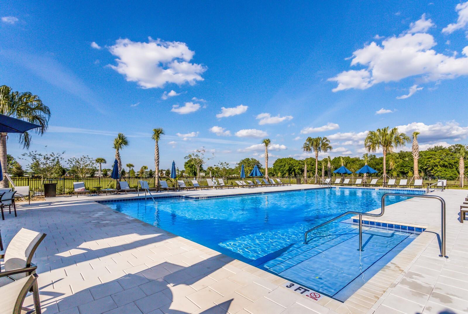 13616 SAW PALM CREEK TRL