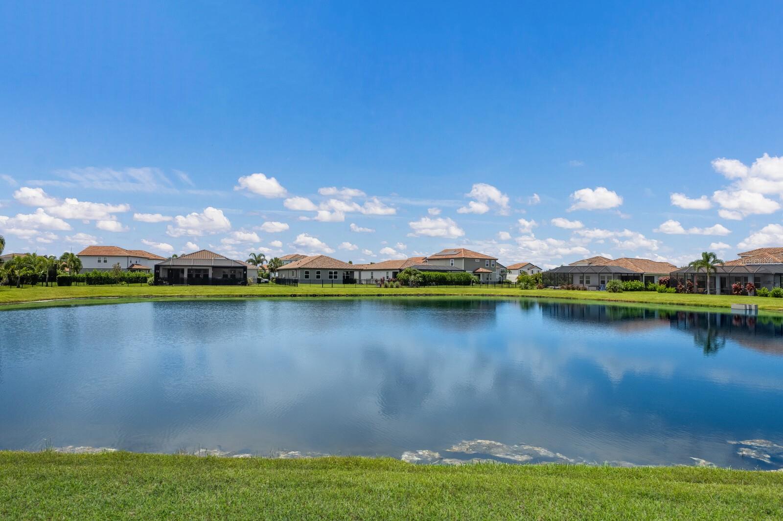 13616 SAW PALM CREEK TRL