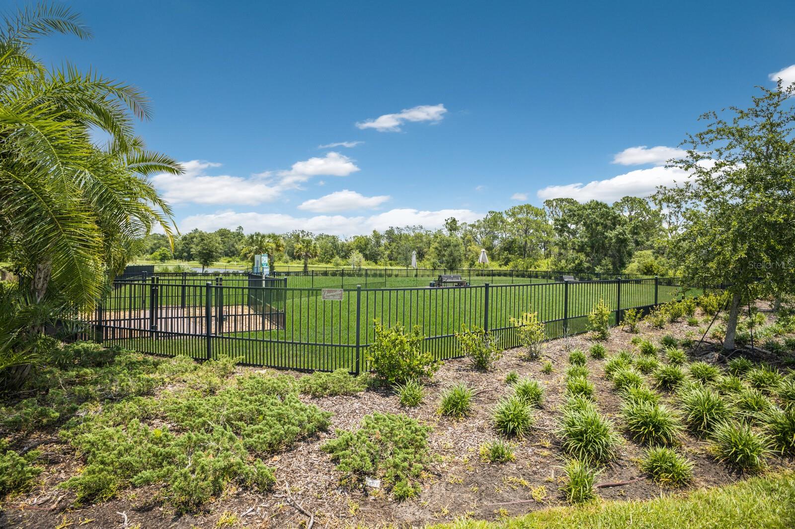 13616 SAW PALM CREEK TRL