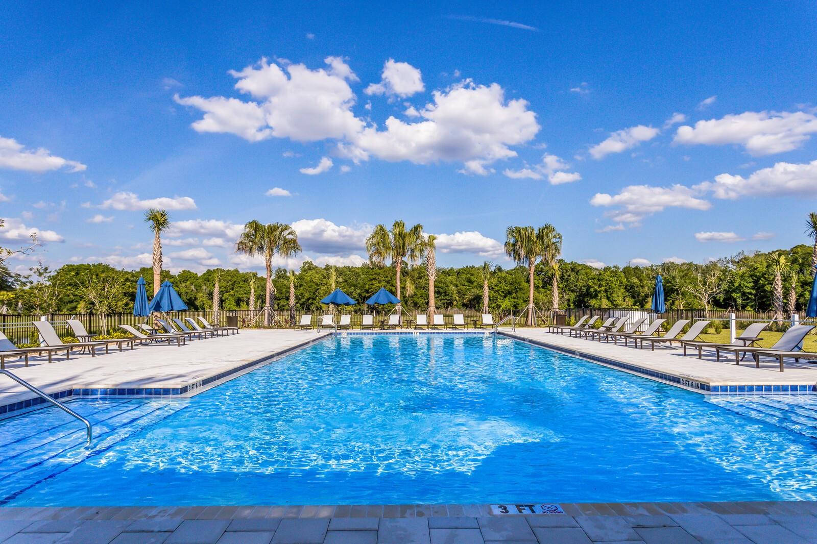 13616 SAW PALM CREEK TRL