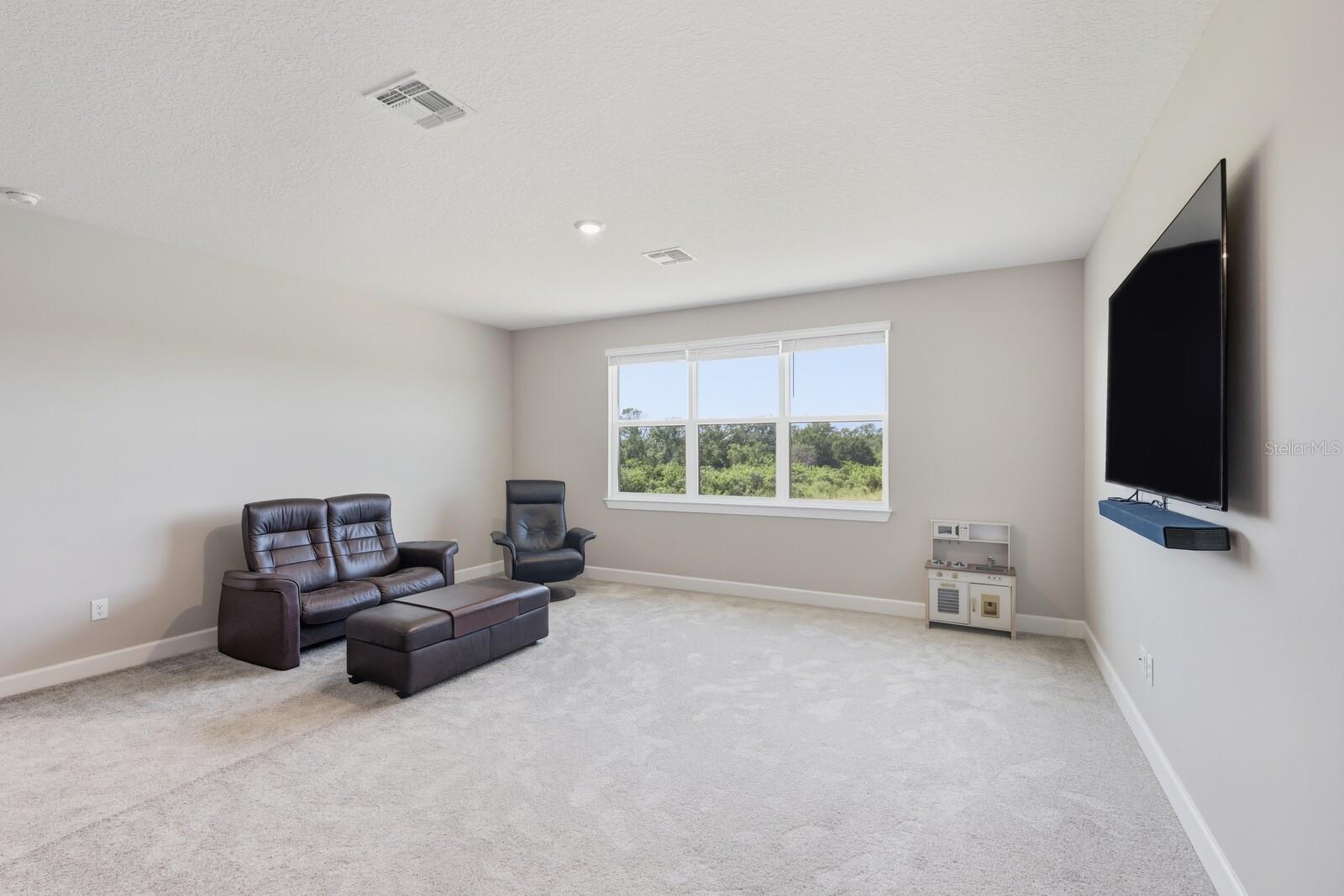 13742 GREEN HAMMOCK PL