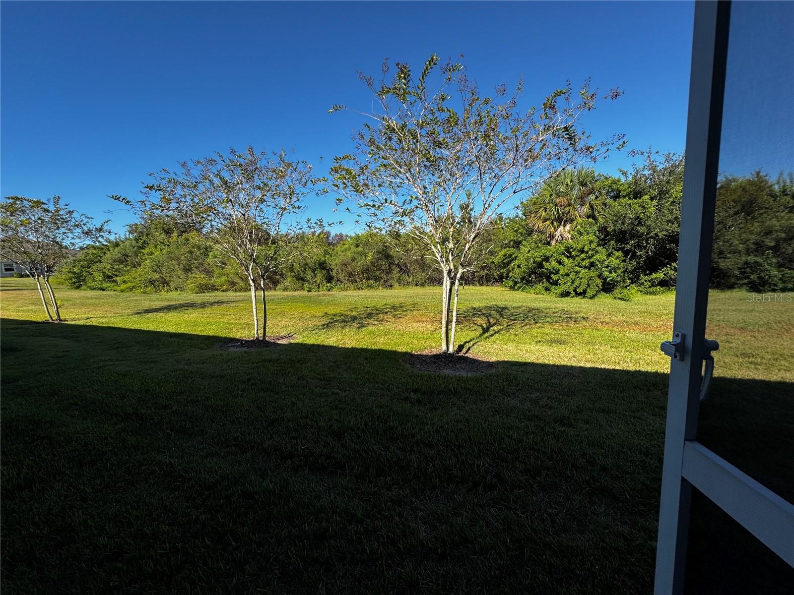 11665 ROLLING GREEN DR