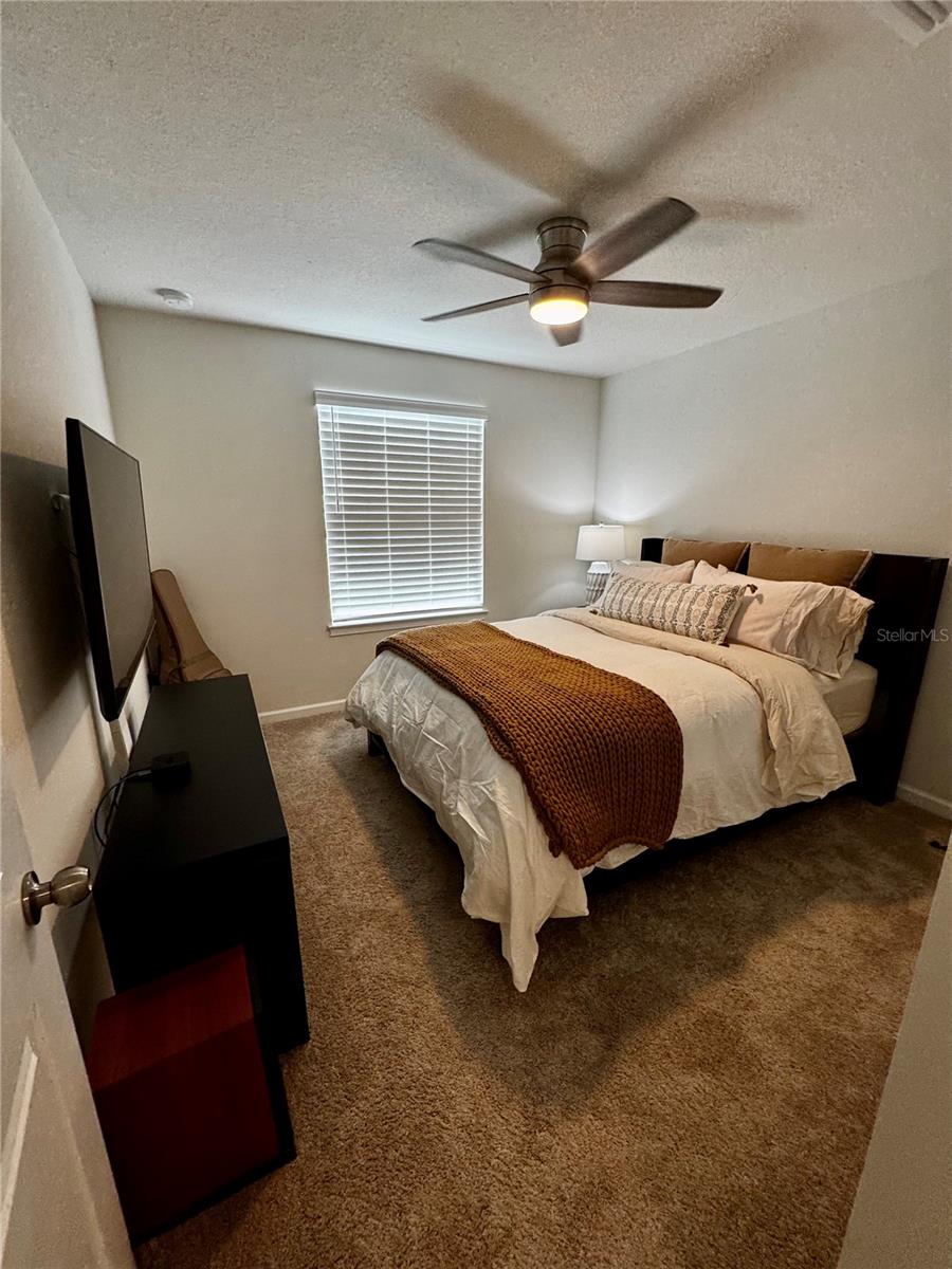 11665 ROLLING GREEN DR