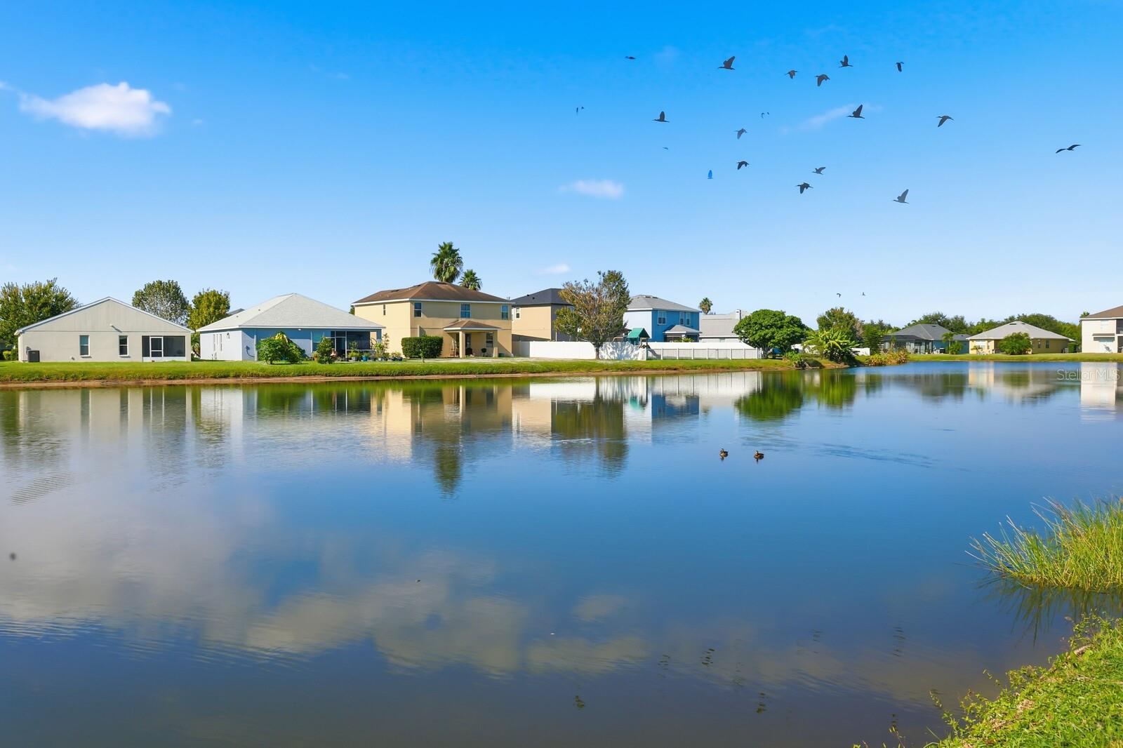 6311 FRENCH CREEK CT