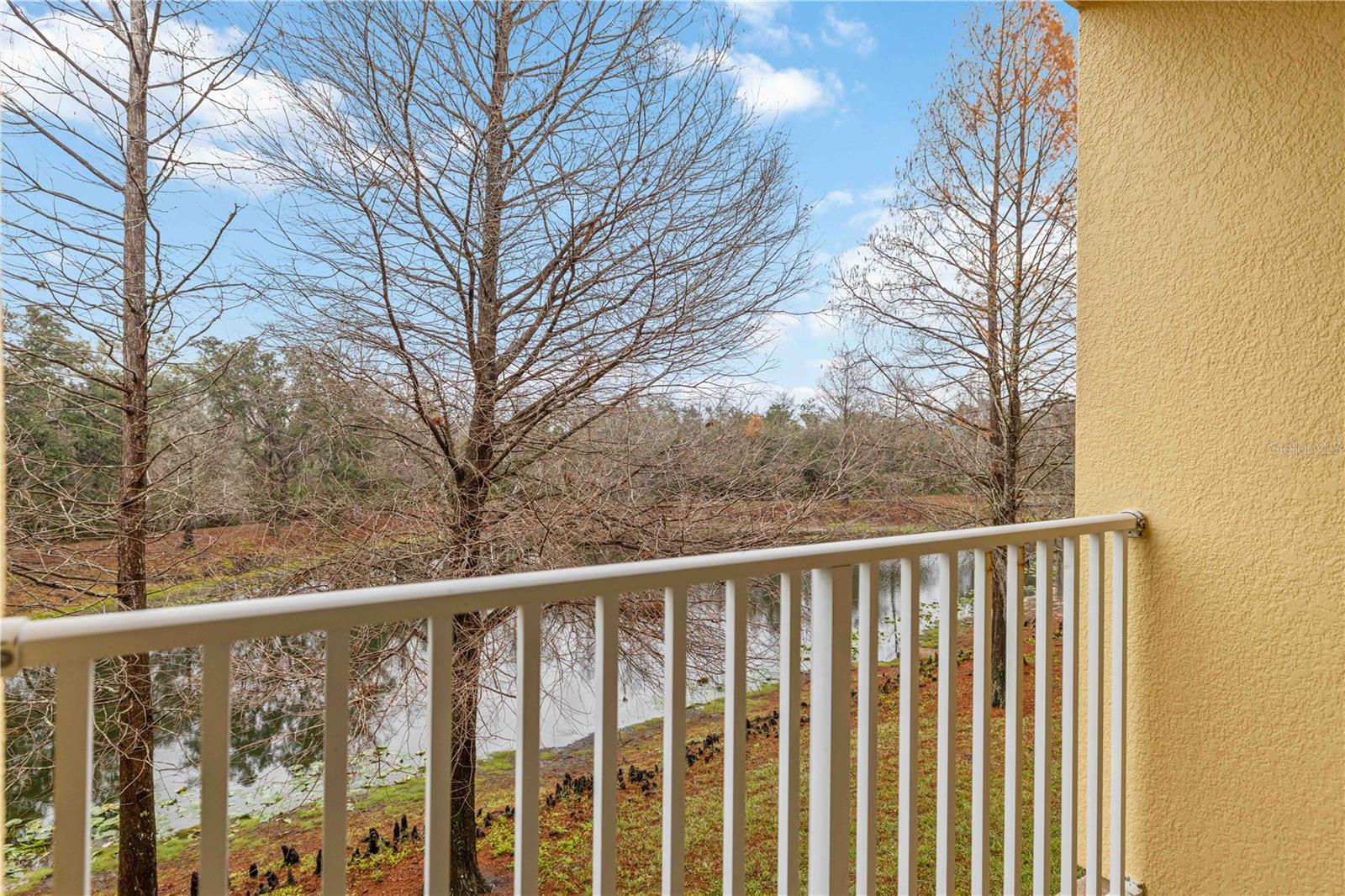 9040 WHITE SAGE LOOP