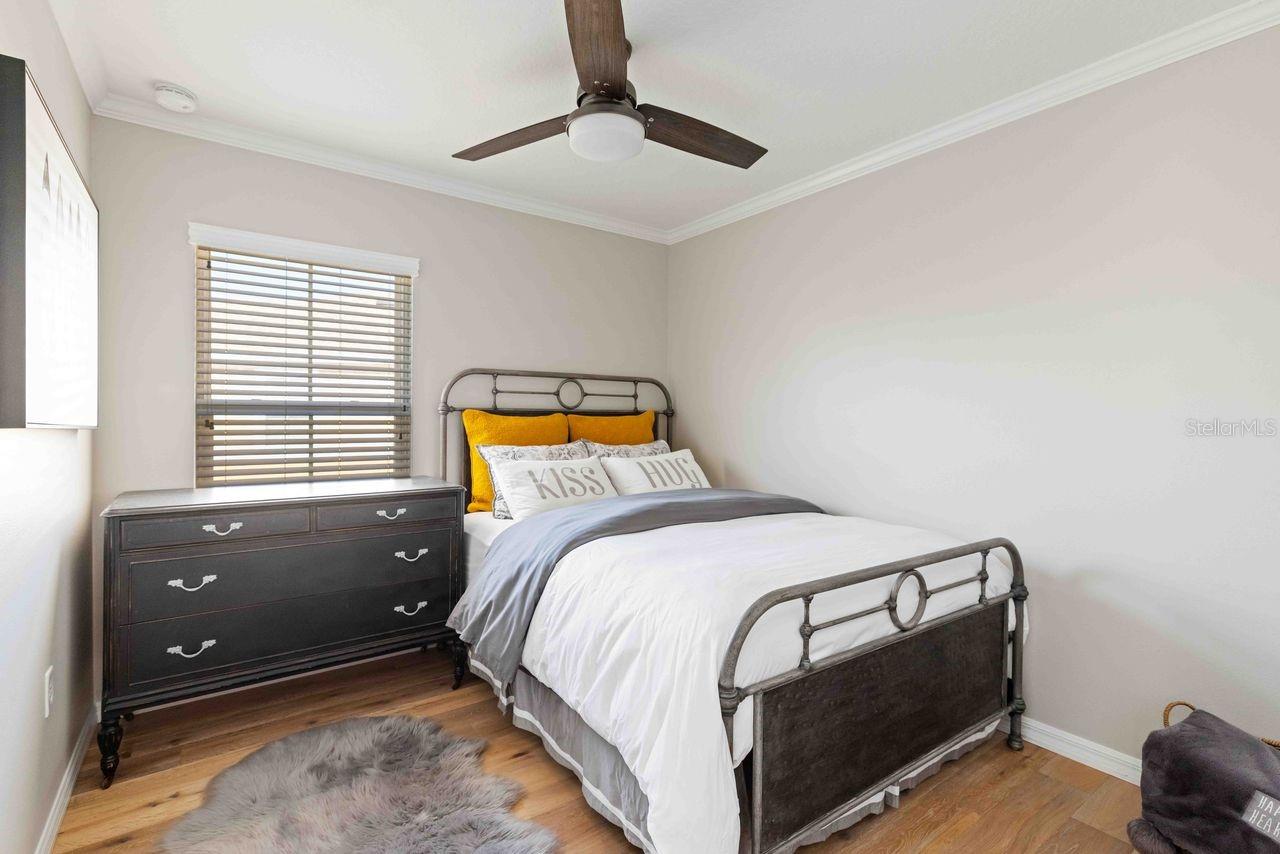 9040 WHITE SAGE LOOP