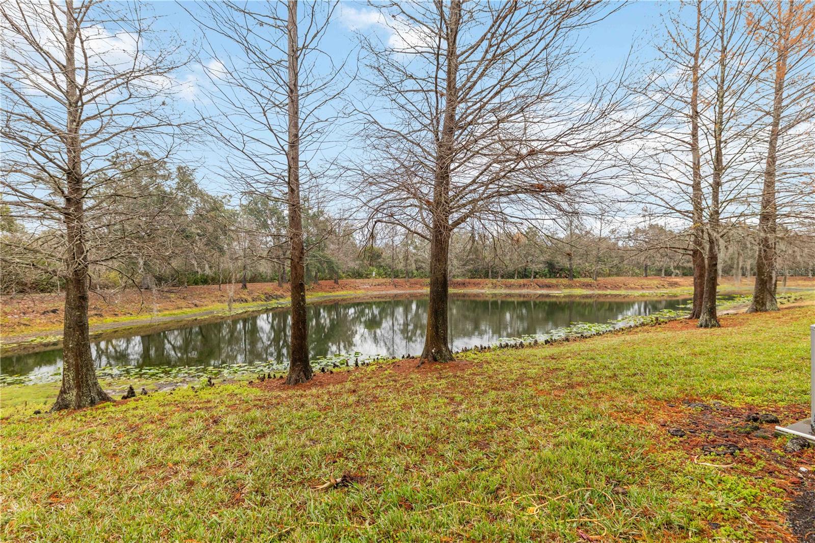 9040 WHITE SAGE LOOP