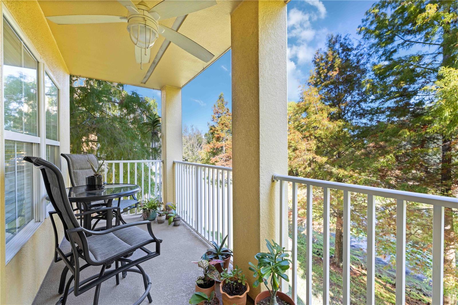 9040 WHITE SAGE LOOP