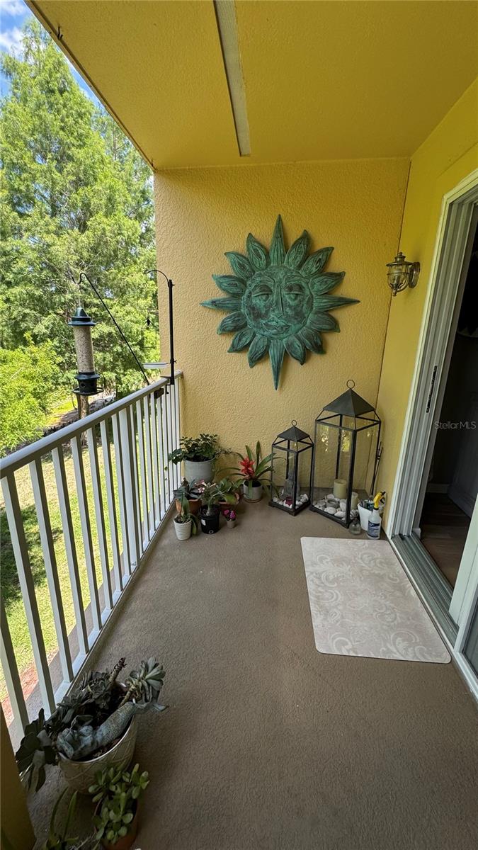 9040 WHITE SAGE LOOP