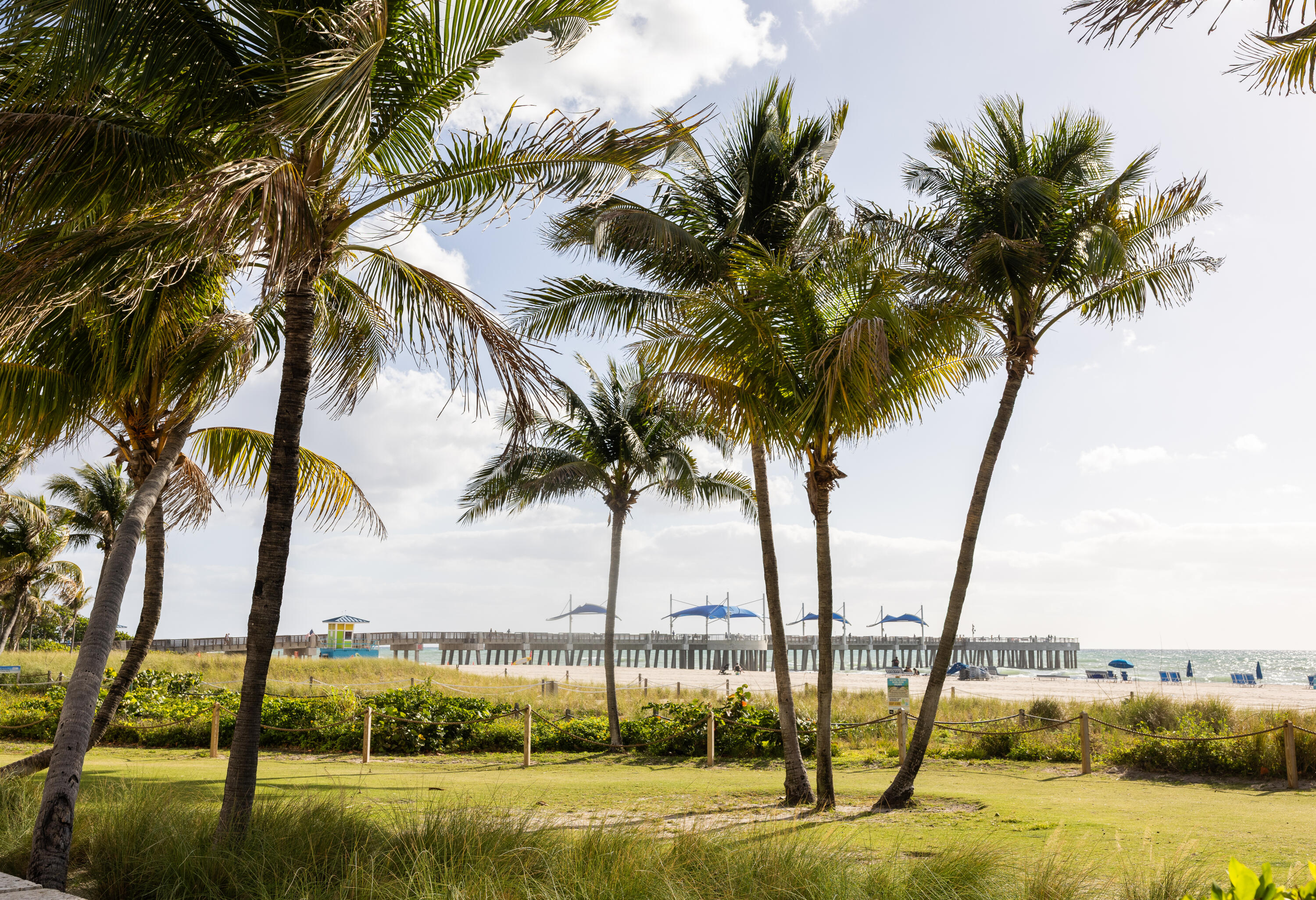 3361 NE 13th Terrace