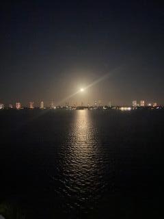 301 Lake Shore Drive 801
