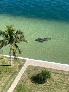 301 Lake Shore Drive 801